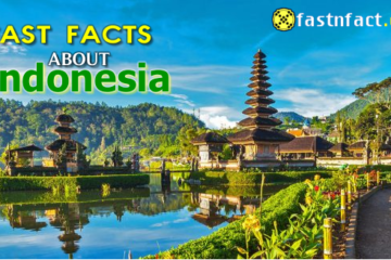 Interesting Facts About Indonesia