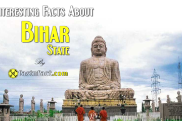 Interesting Facts About Bihar State