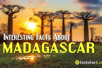 Interesting Facts About Madagascar